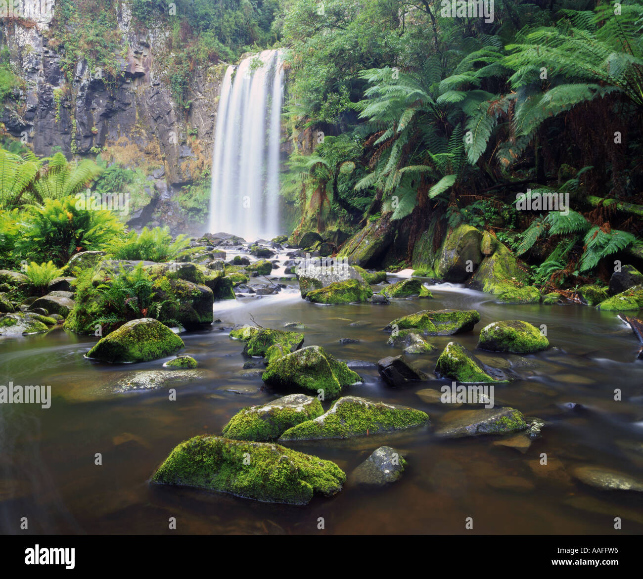 Hopetoun Falls Otway Ranges Victoria Australien Stockfoto