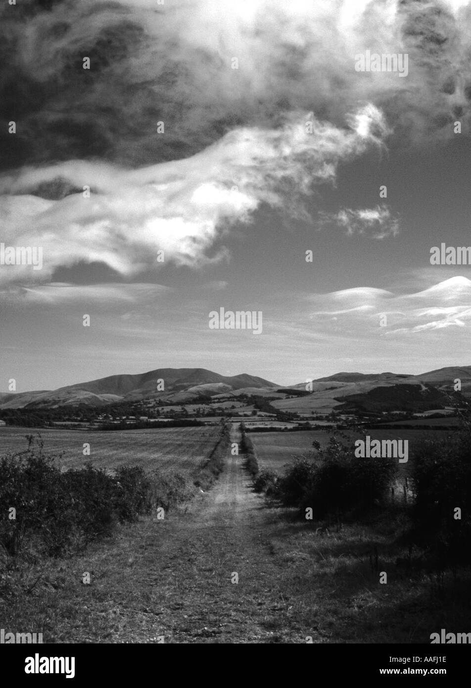 Ländliche landwirtschaftliche Szene Seenplatte Cumbria Stockfoto
