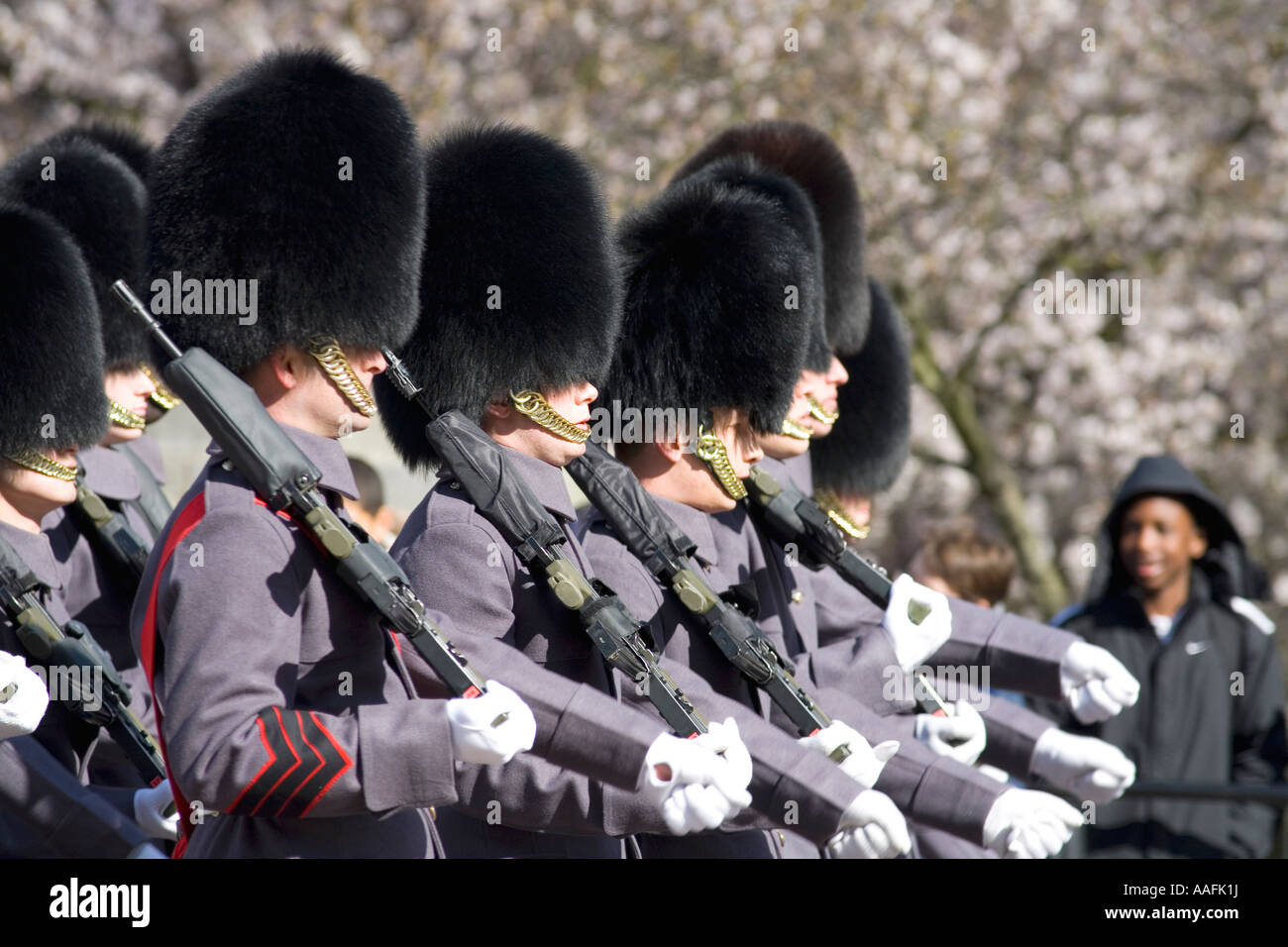 Soldaten der Coldstream Guards Regiment marschieren während die Wachablösung am Buckingham Palace London England GB UK Stockfoto