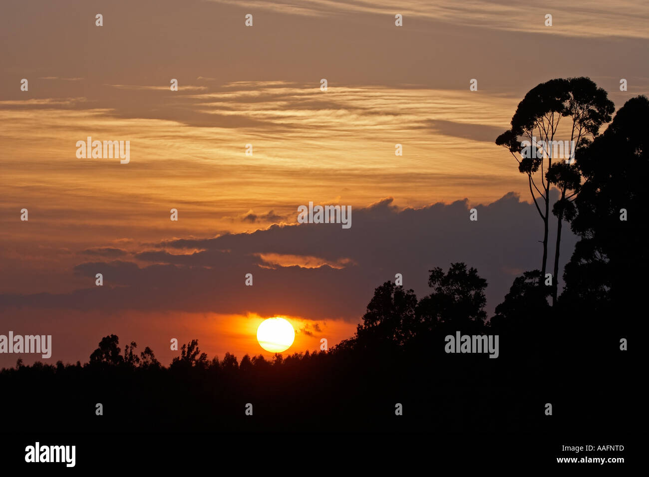 Sonnenuntergang in dramatischen orange Sonnenuntergang auf Entoto Hügeln Stockfoto