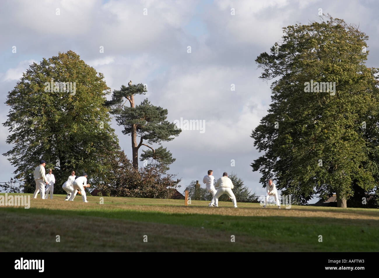 Sommersport des englischen Dorf Cricket in Frant Kent England gespielt Stockfoto