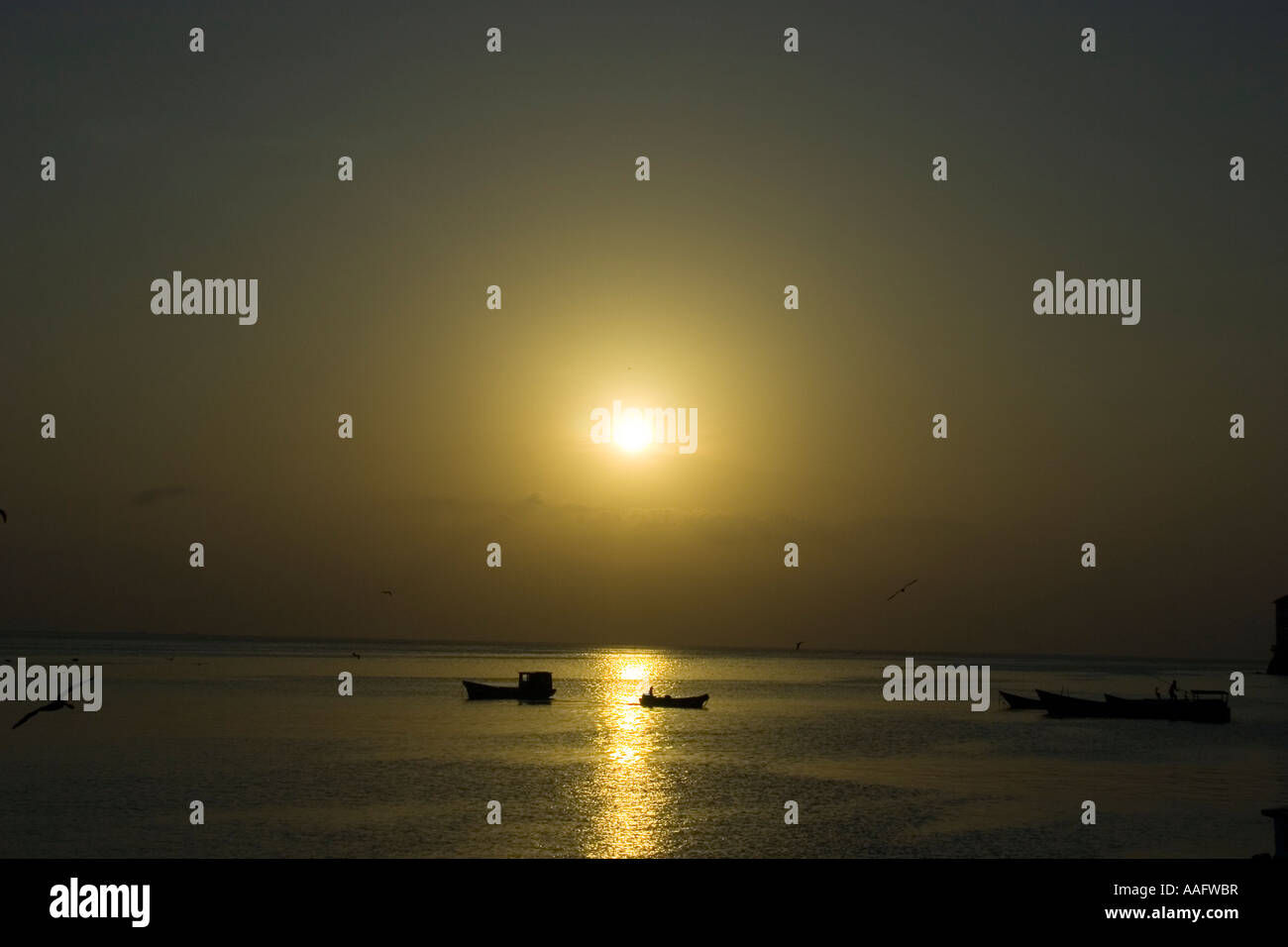 Fischerboote Silhouette gegen die steigende Sonne Panama-Mittelamerika Stockfoto
