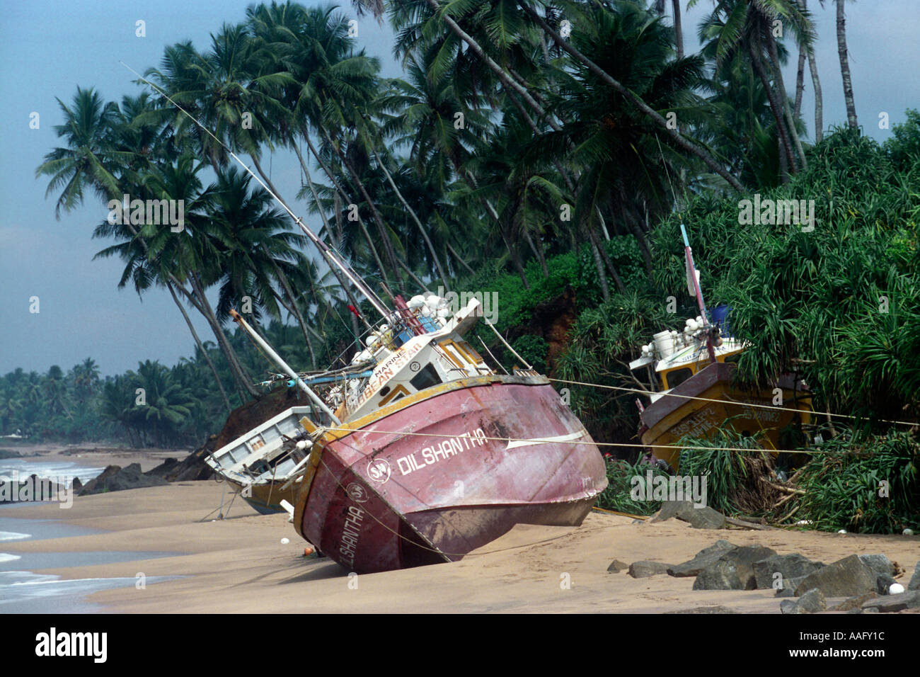 Tsunami Katastrophe Im Indischen Ozean Stockfotos und -bilder Kaufen ...