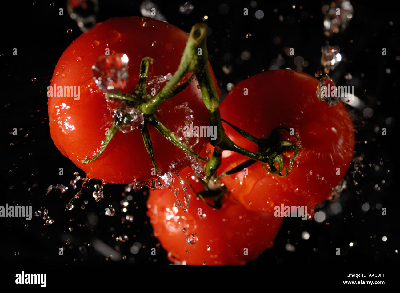 Frische saftige Tomaten, planschen im Wasser Stockfoto