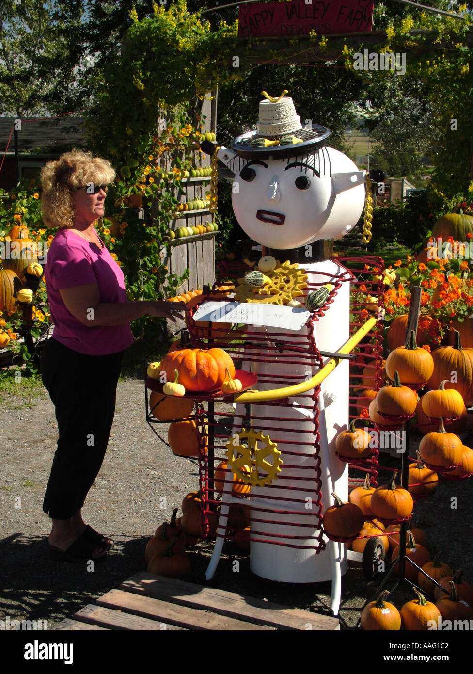 AJD37695, Kanada, New Brunswick, Shepody Stockfoto
