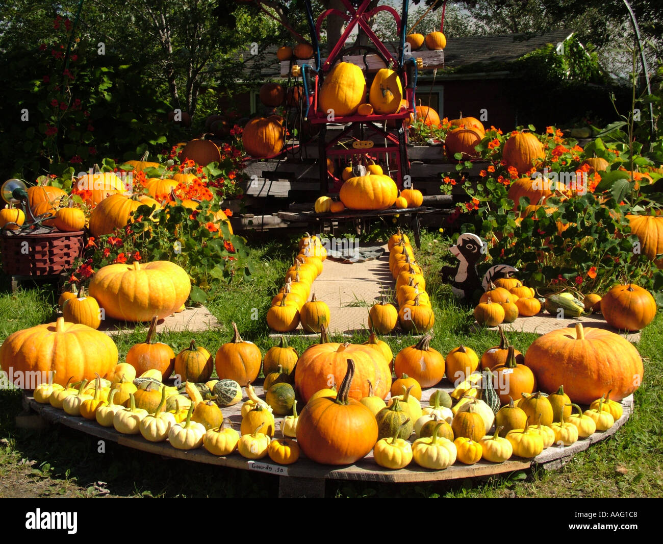 AJD37697, Kanada, New Brunswick, Shepody Stockfoto