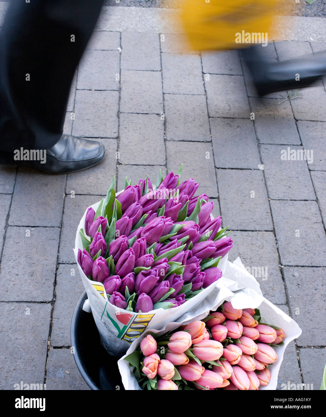 Blumen mit Füßen von Passanten Stockfoto