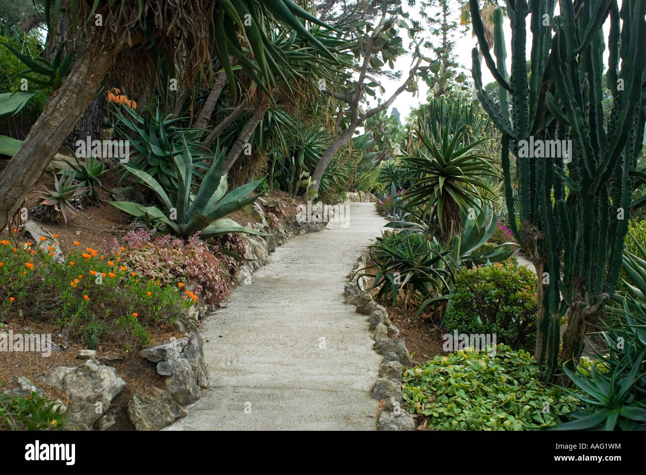 Exotischen Garten, Villa & Jardins Ephrussi de Rothschild, Frankreich Stockfoto