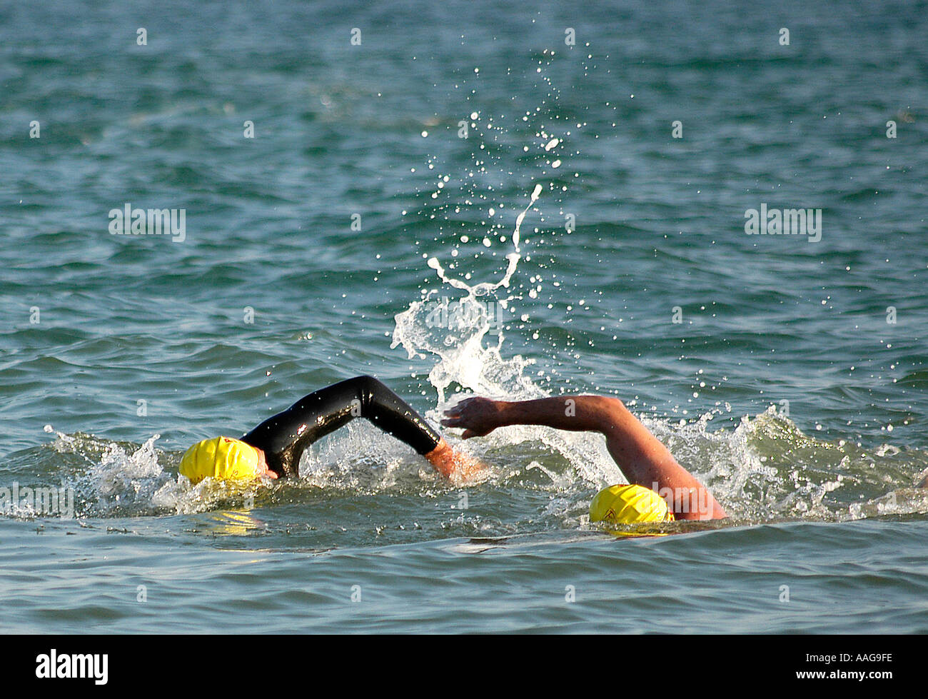 Schwimmer Duell es heraus am Ende einen triathlon Stockfoto