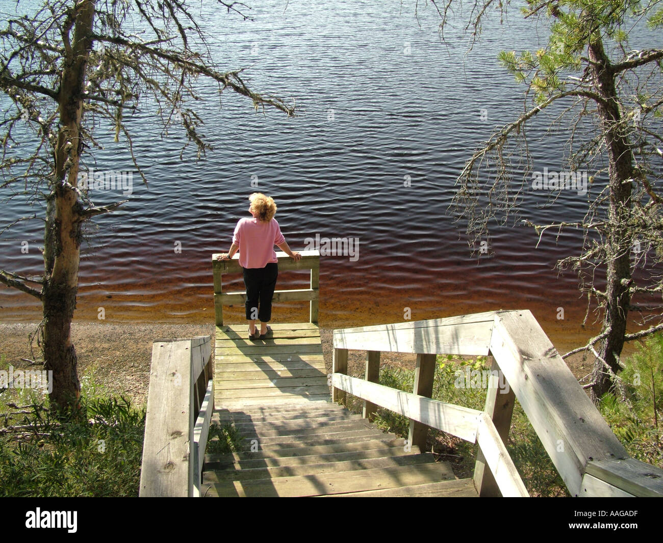 AJD38198, Kanada, New Brunswick, Kouchibouguac Stockfoto