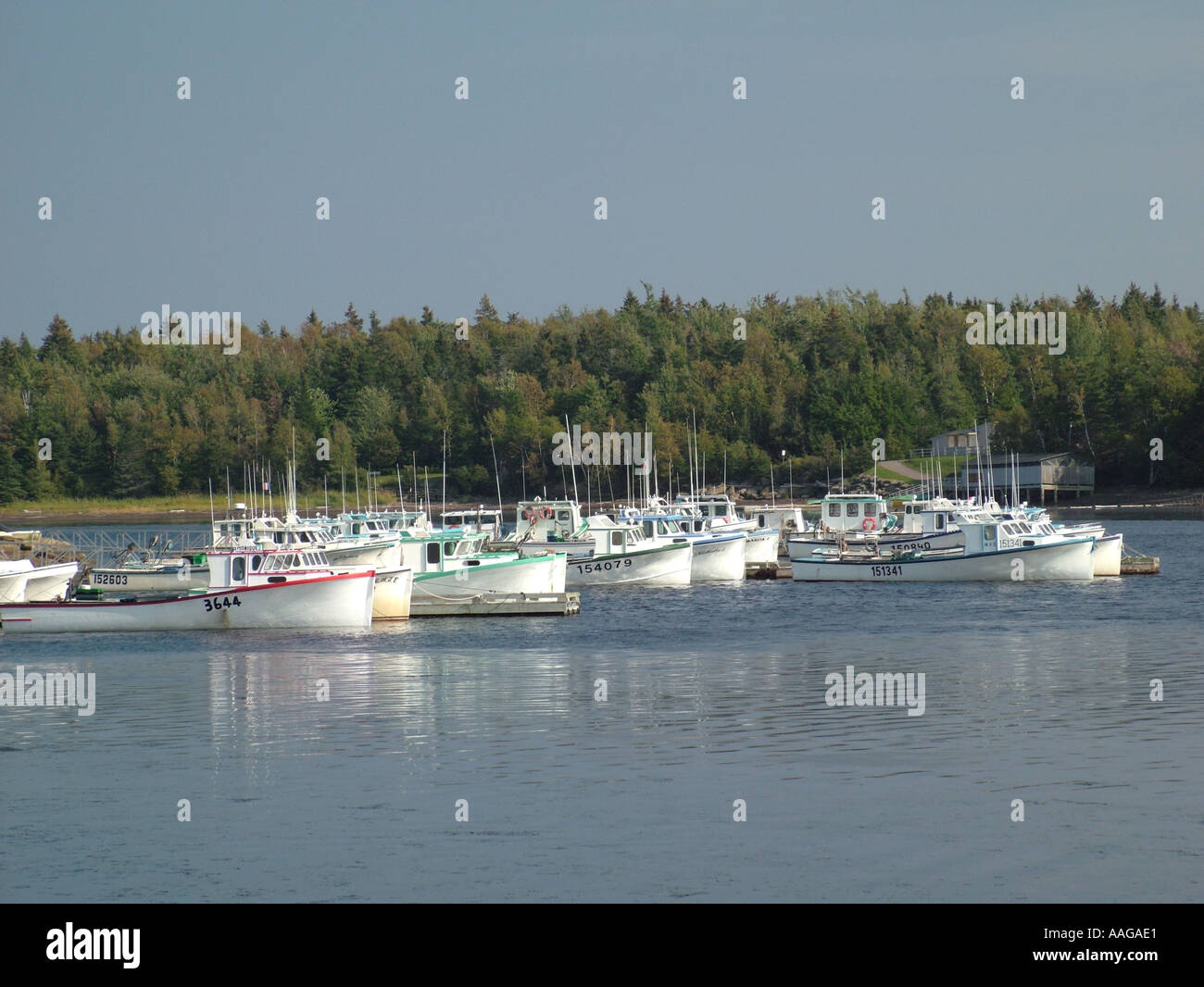 AJD38199, Kanada, New Brunswick, Kouchibouguac Stockfoto
