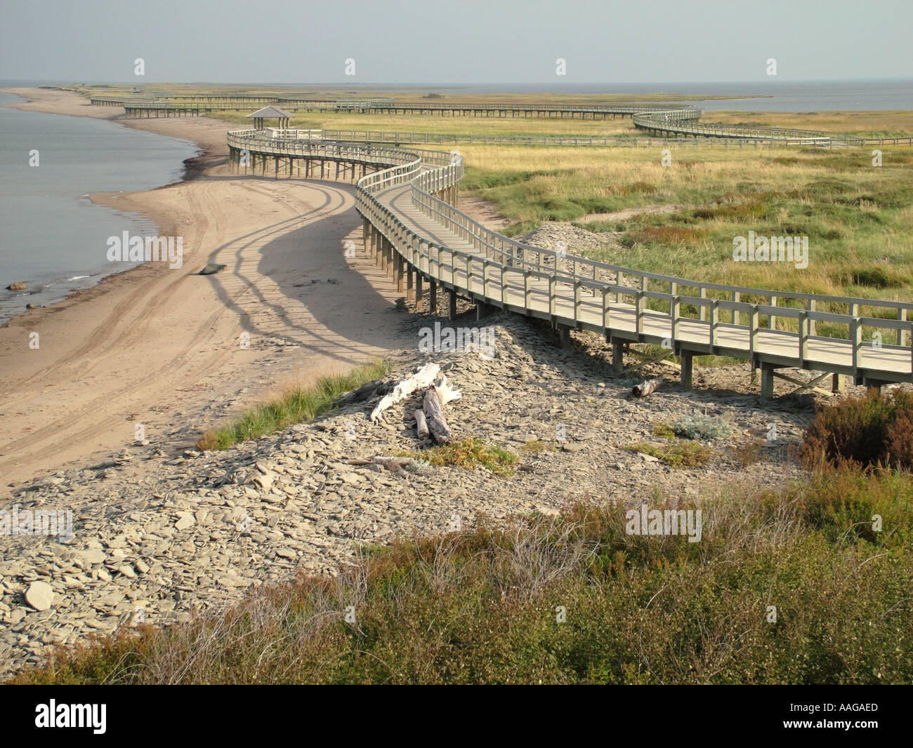 AJD38204, New Brunswick, Buctouche, Kanada Stockfoto
