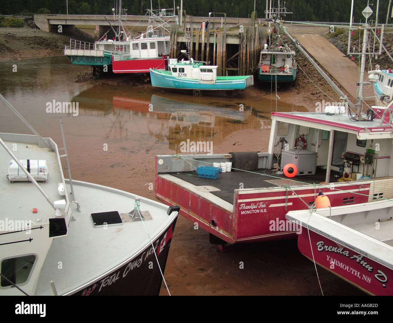 AJD38222, Kanada, New Brunswick, Alma, Bucht von Fundy Stockfoto