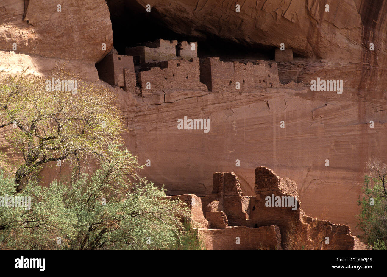 White House Ruinen im Canyon de Chelly der Anasazi indischen Kultur Park mit bizarren Erosion Landschaft Stockfoto