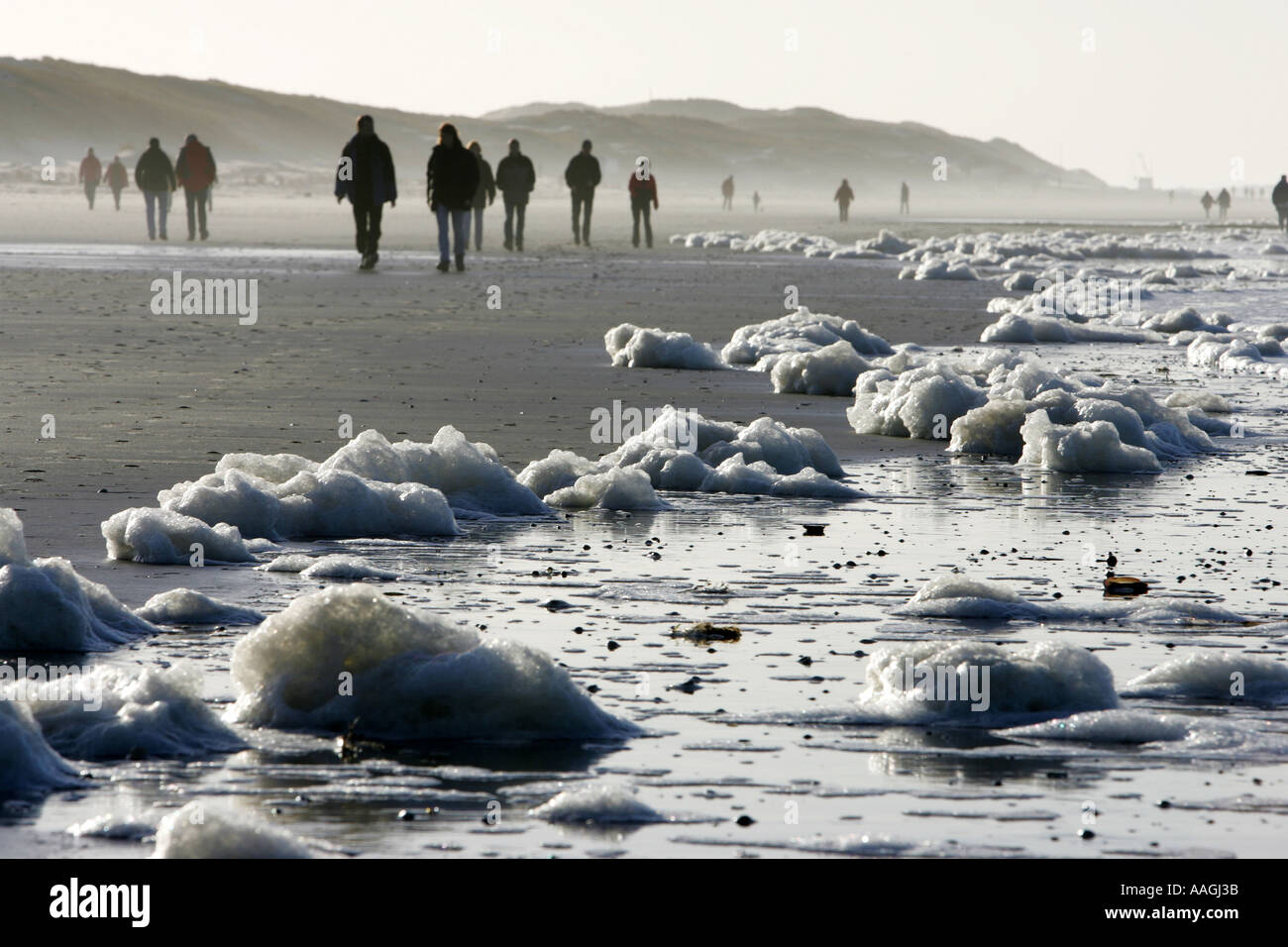 Die Deutsche Nordsee Insel Amrum Naturell Schaum gemacht durch die Wellen des Meeres und eine Nordsee typisch Alge Stockfoto