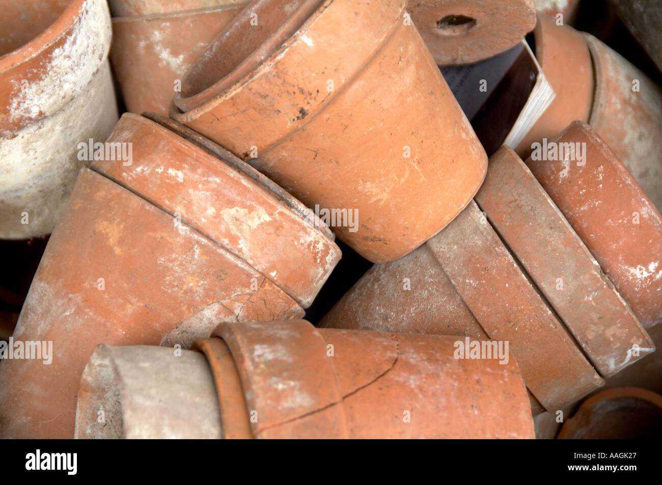 Terrakotta Töpfe Pflanztopf Garten Gartenarbeit wachsen grüne Finger Finger Zuteilung Stockfoto