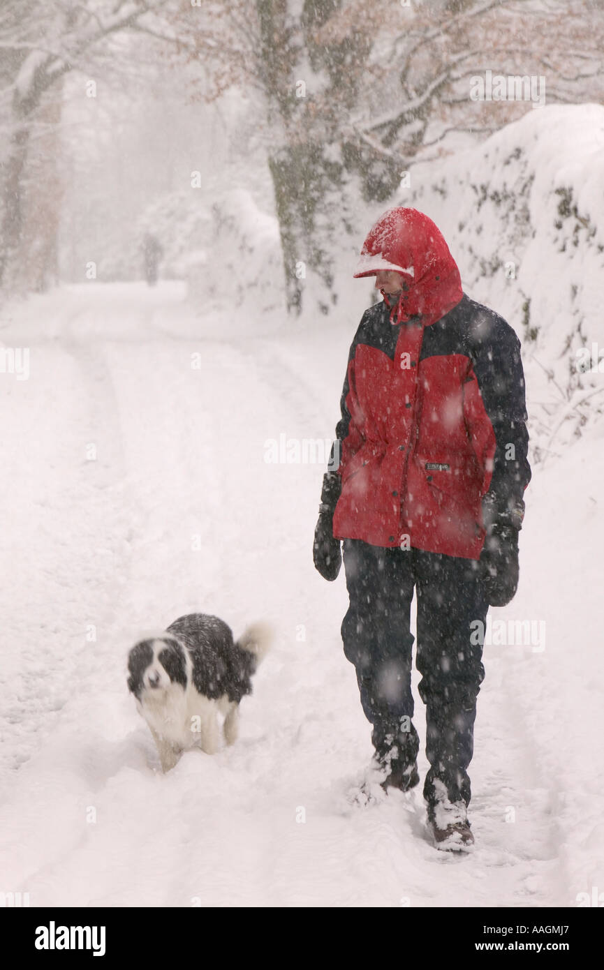 ein Spaziergang mit ihrem Hund nach einem schweren Winter Schneefall, Skelwyth Falte, Ambleside, Cumbria, UK Frauen Stockfoto