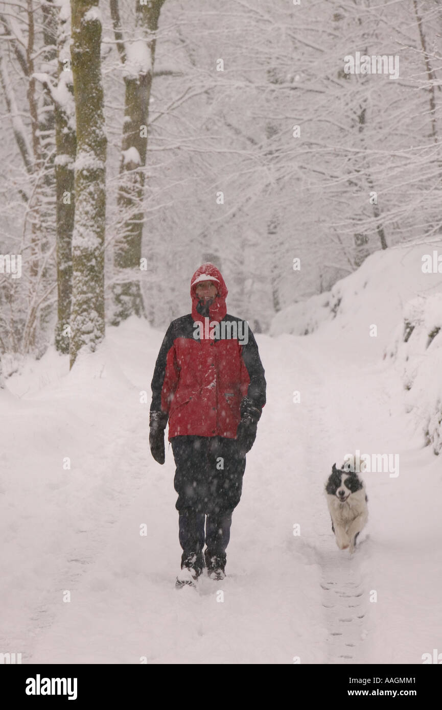 ein Spaziergang mit ihrem Hund nach einem schweren Winter Schneefall, Skelwyth Falte, Ambleside, Cumbria, UK Frauen Stockfoto