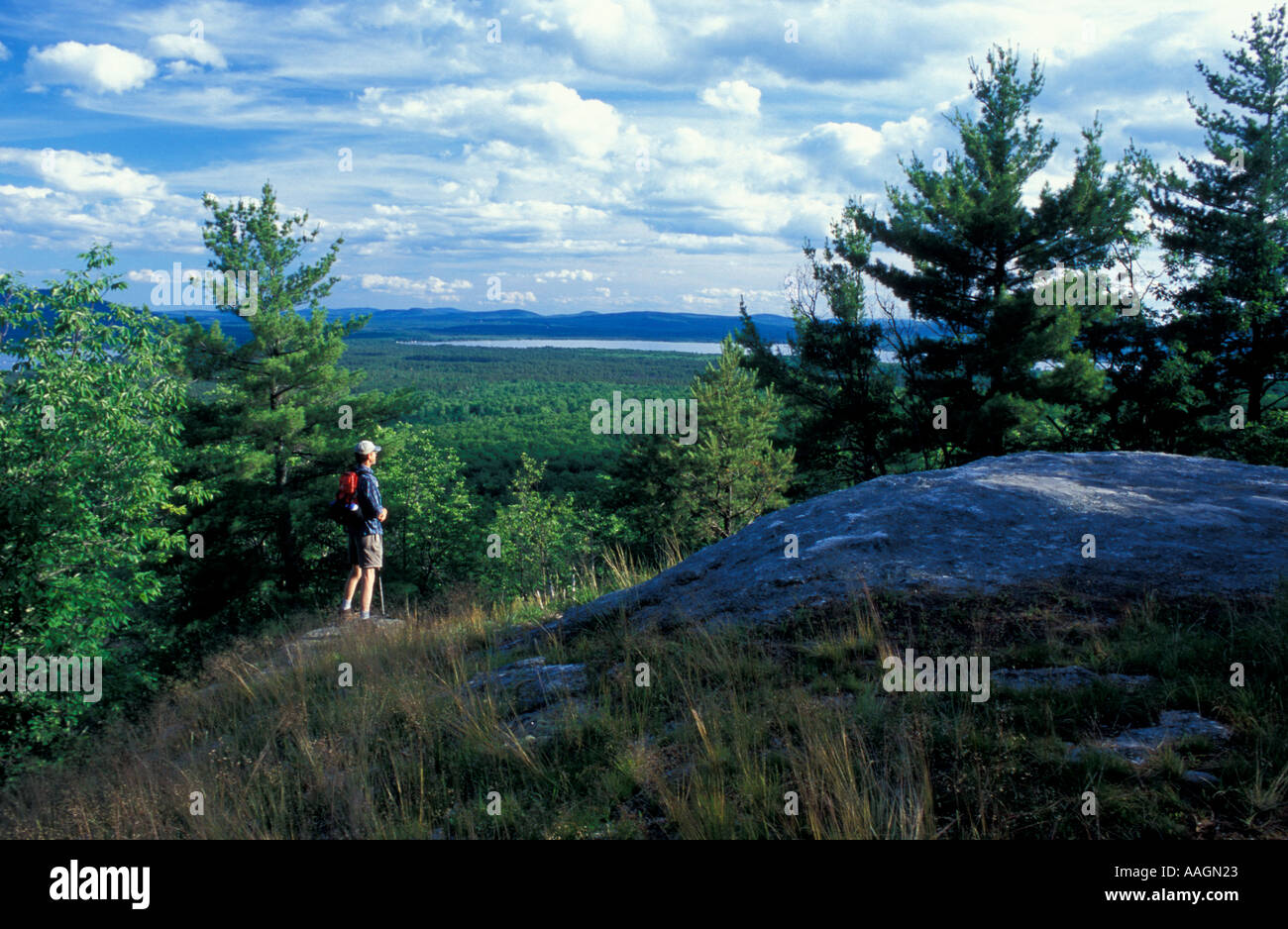 Ein Wanderer auf Mary s Mountain in Freedom Town Wald in Freedom NH Stockfoto