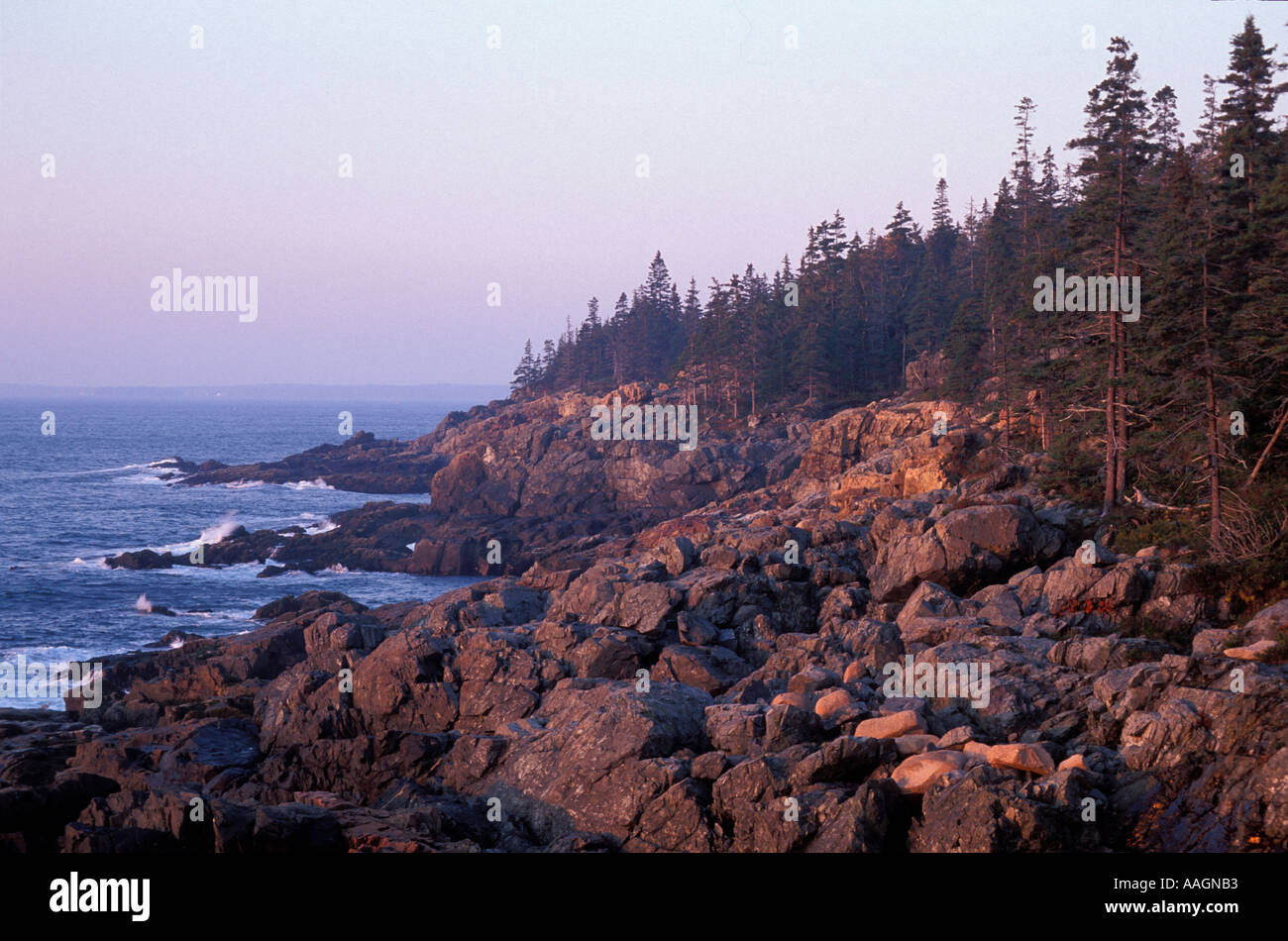 Acadia N P mir Küste von Maine Jäger den Kopf Stockfoto