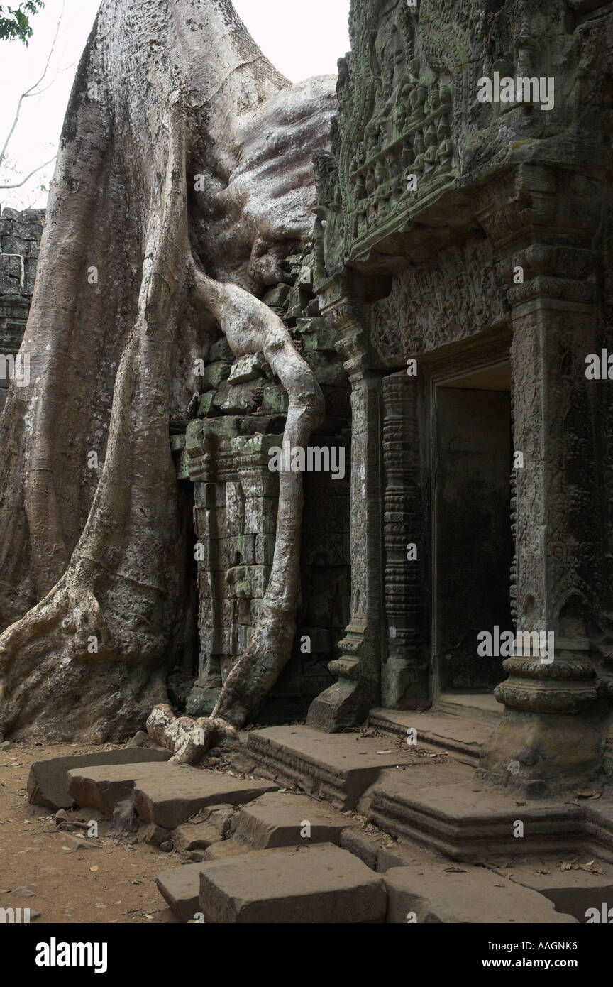 Kambodscha Siem Reap Provinz Tempeln von Angkor Archäologische Park Ta Prohm Tempel Steintor mit riesigen Baum in bkgd Stockfoto