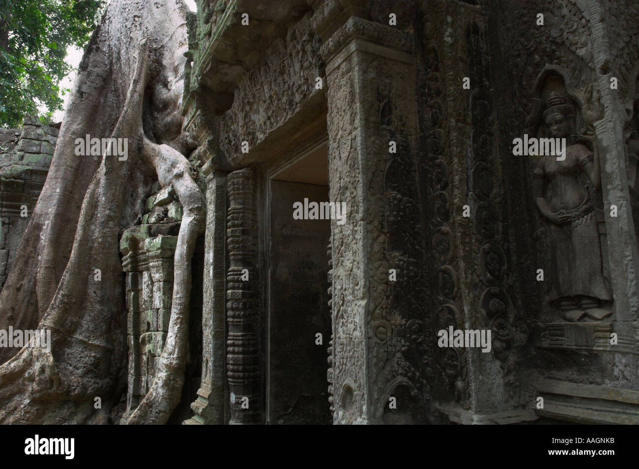 Kambodscha Siem Reap Provinz Tempeln von Angkor Archäologische Park Steintor Ta Prohm Tempel und Statuen, die mit riesigen Baum ich Figur Stockfoto