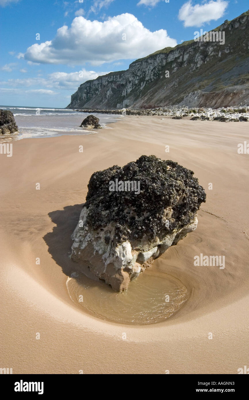 Speeton Bay in der Nähe von Flamborough, East Yorkshire Coast, April Stockfoto