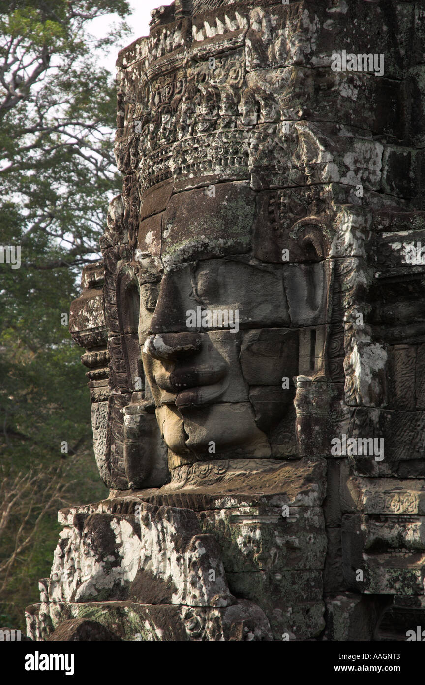 Kambodscha Siem Reap Provinz Tempeln von Angkor Archäologische Park Ta Prohm Tempel Stein statuarischen menschliche Gesichter Stockfoto