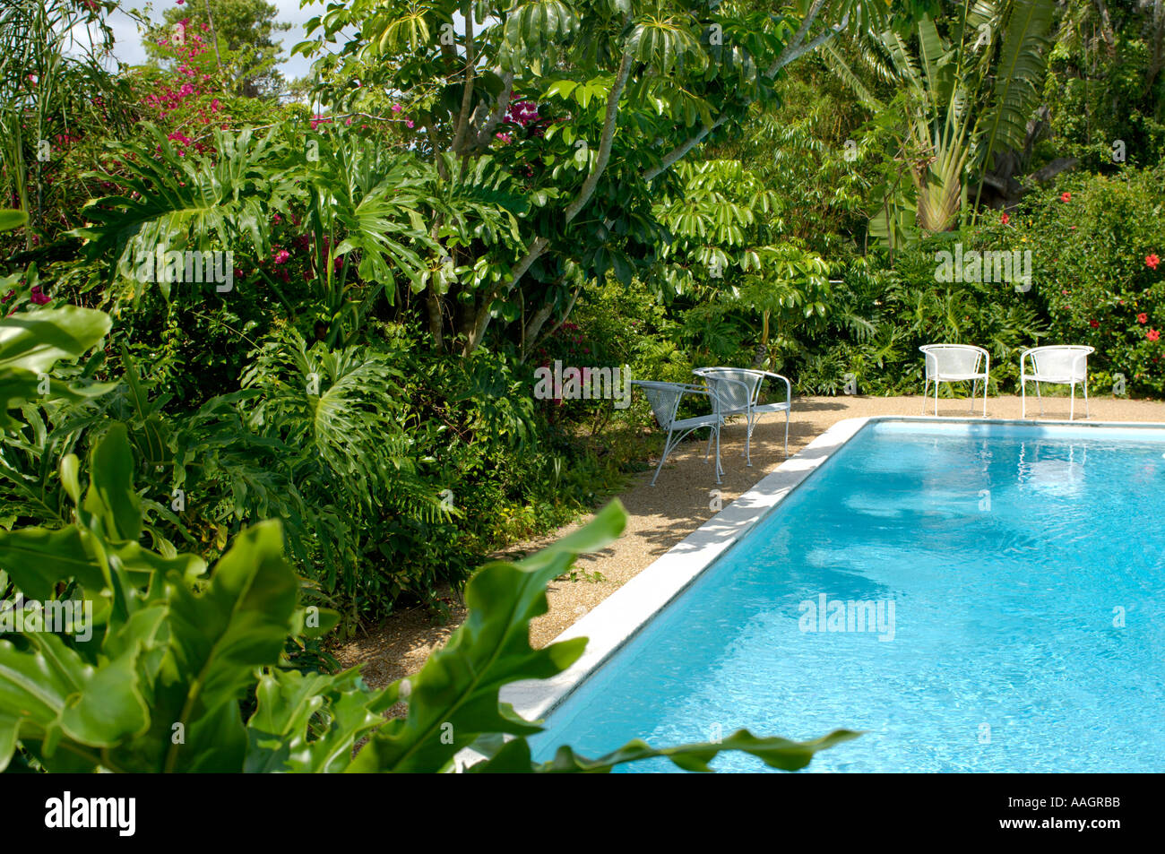 üppige tropische Resort Pool und Stühle Stockfoto