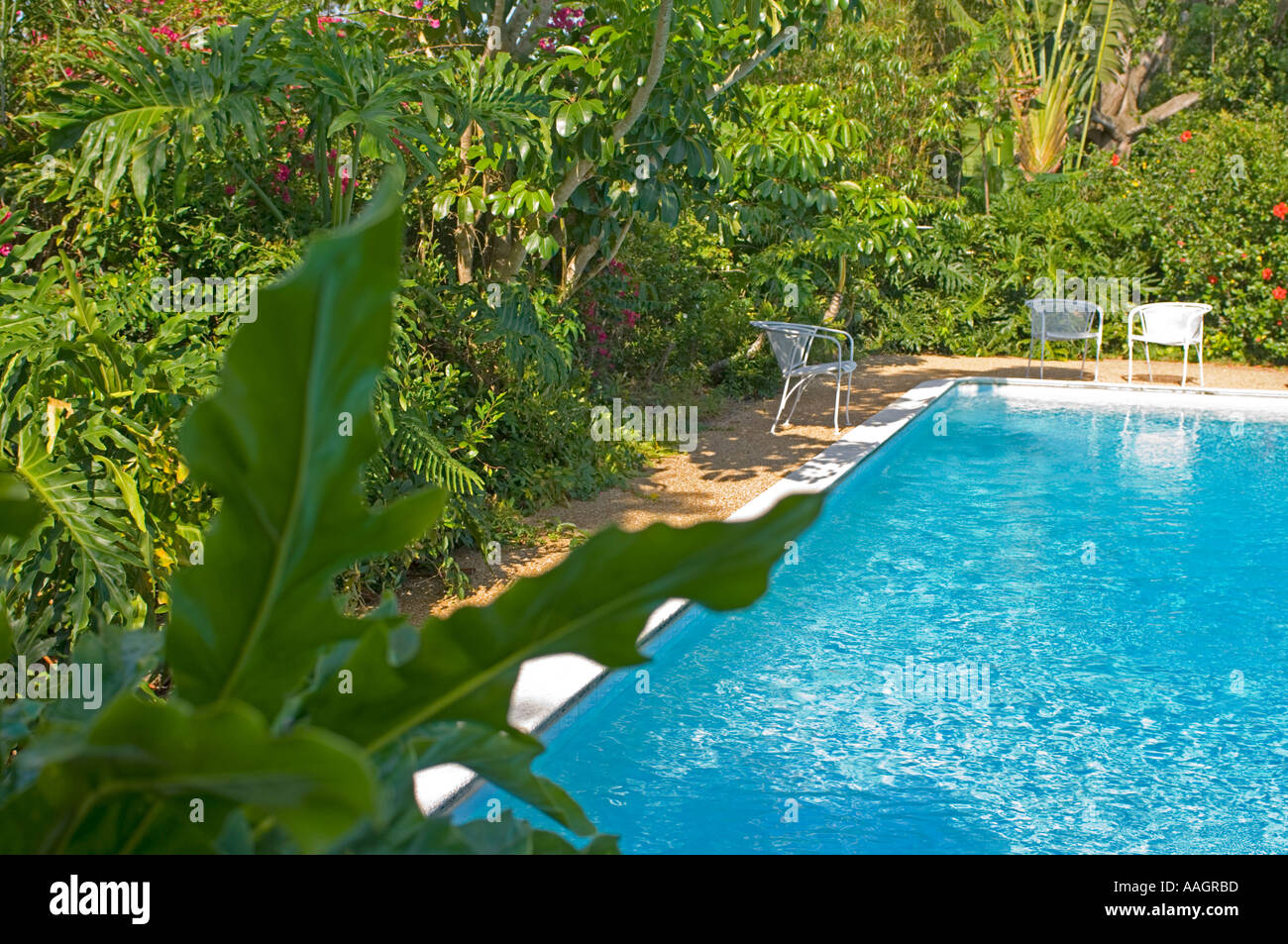 üppige tropische Resort Pool und Stühle Stockfoto