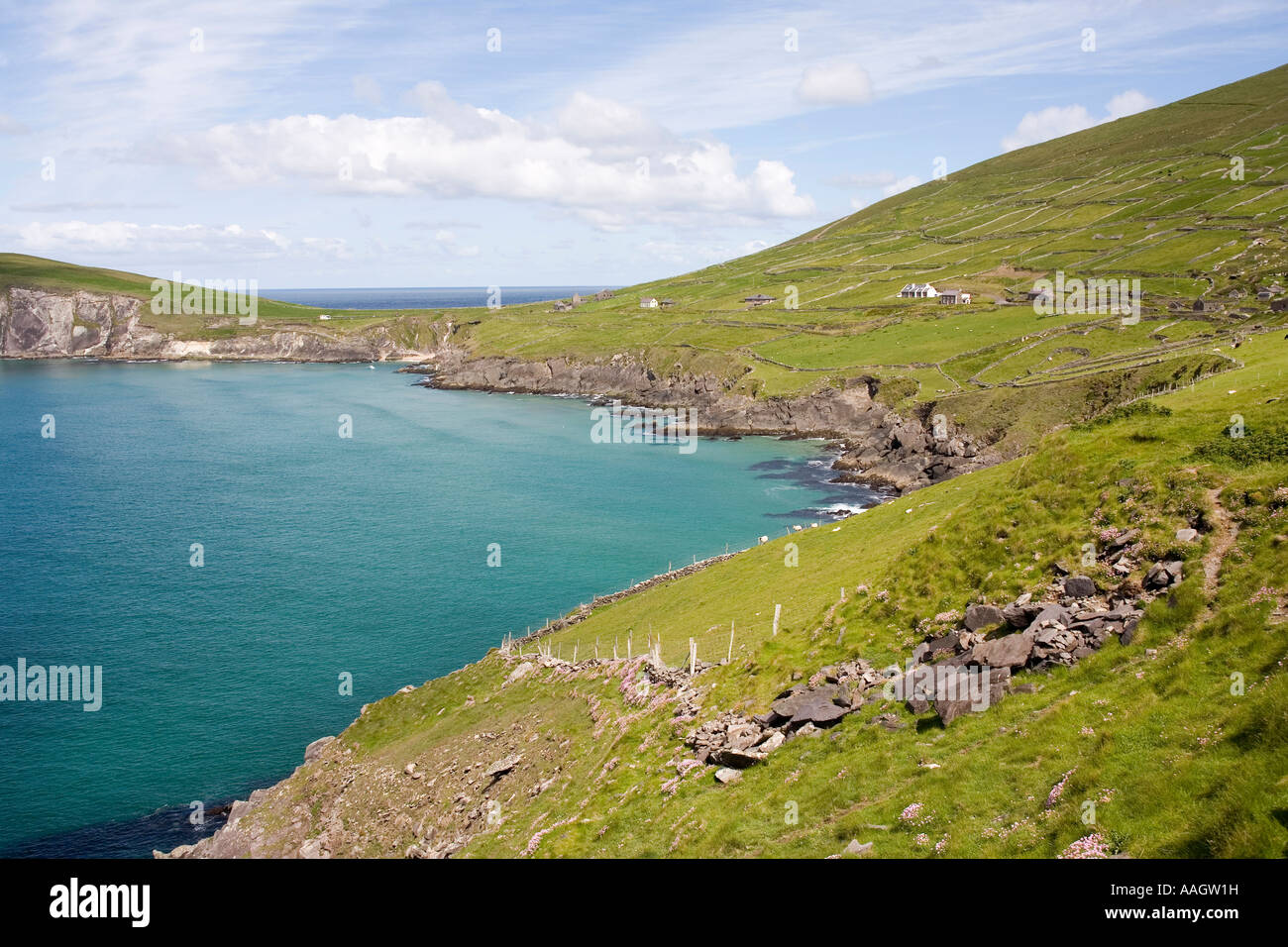 Irland County Kerry Dingle Halbinsel Slea Head Hänge des Mount Adler treffen den Ozean an der Coumeenoole Bucht Stockfoto