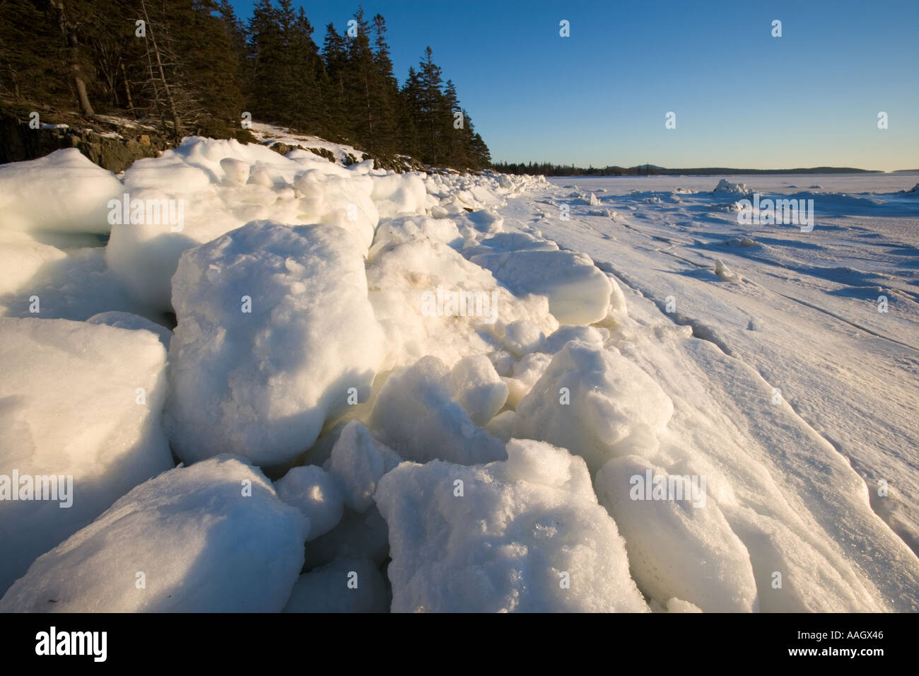Eis auf der Küste von Thompson-Insel in Maine s Acadia Nationalpark Stockfoto
