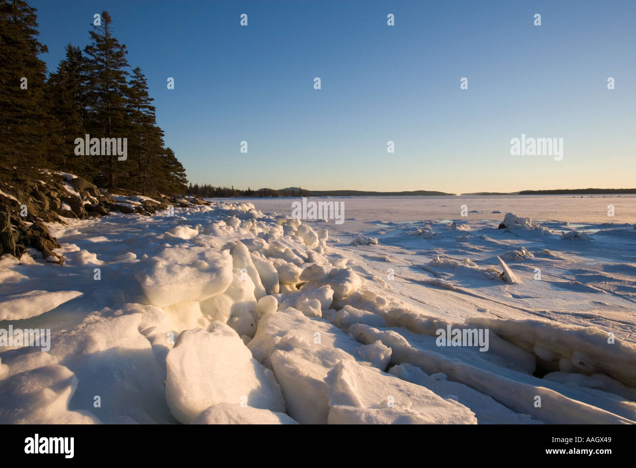 Eis auf der Küste von Thompson-Insel in Maine s Acadia Nationalpark Stockfoto
