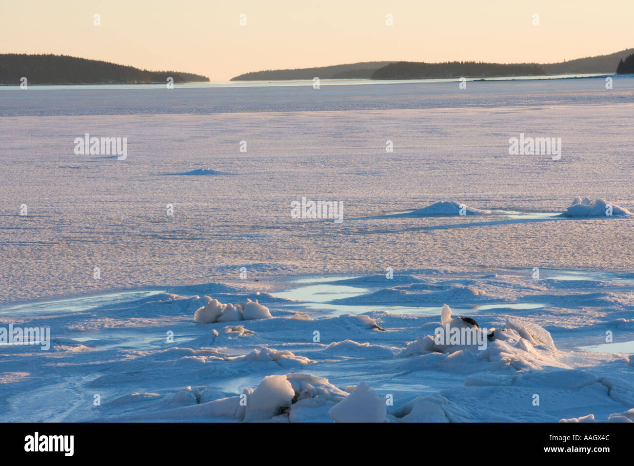 Eis in Mt Wüste Narrows in Maine s Acadia Nationalpark Stockfoto