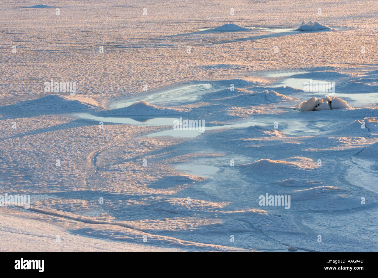 Eis in Mt Wüste Narrows in Maine s Acadia Nationalpark Stockfoto