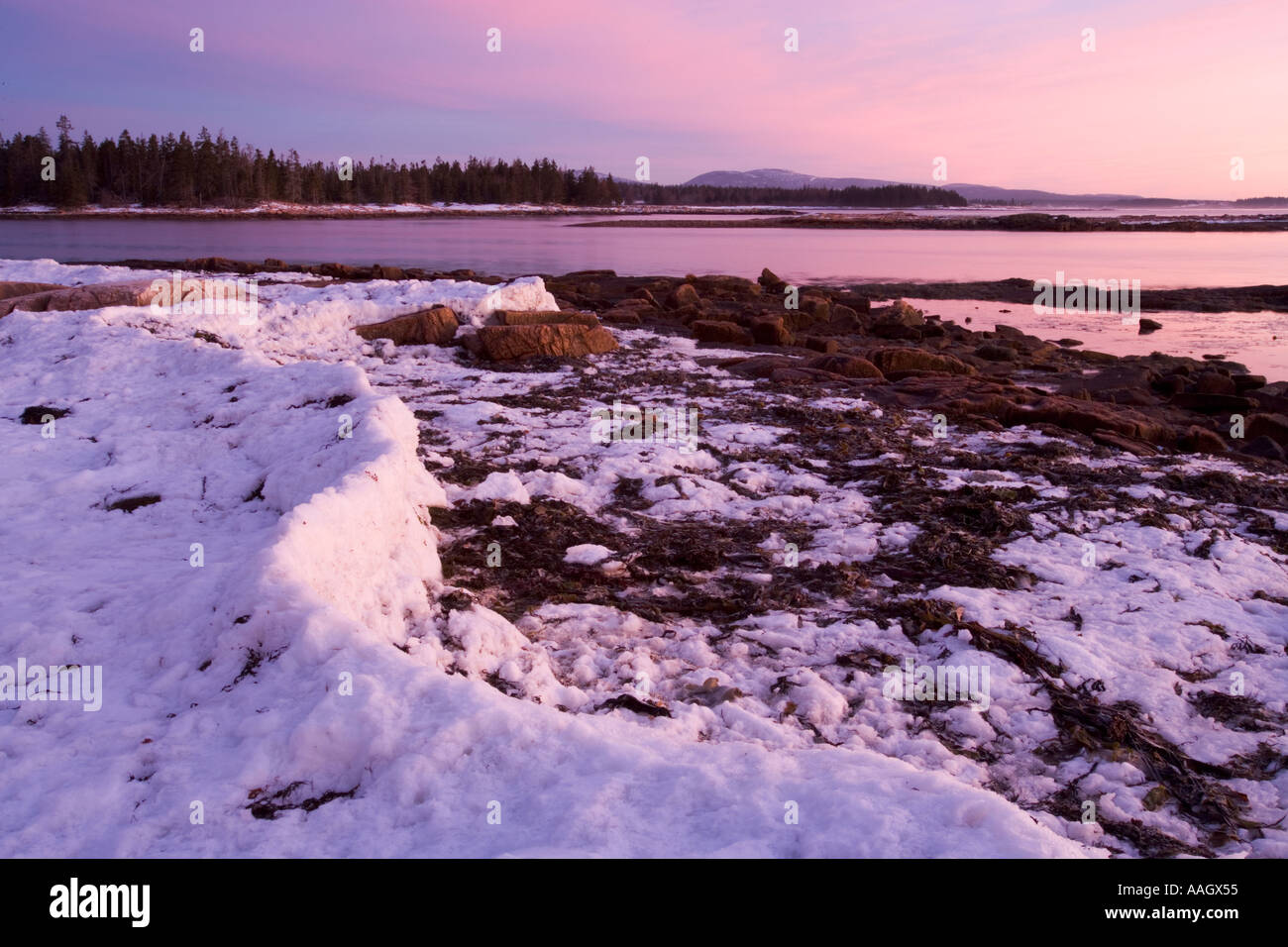 Der eisigen Küste im Wunderland in Maine s Acadia National Park Sunrise Stockfoto