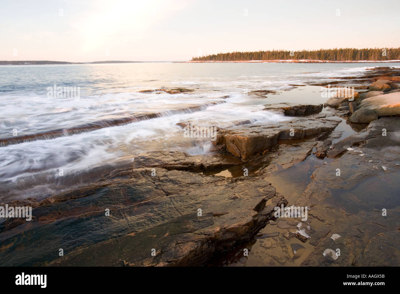 Am frühen Morgen im Wunderland in Maine s Acadia Nationalpark Stockfoto