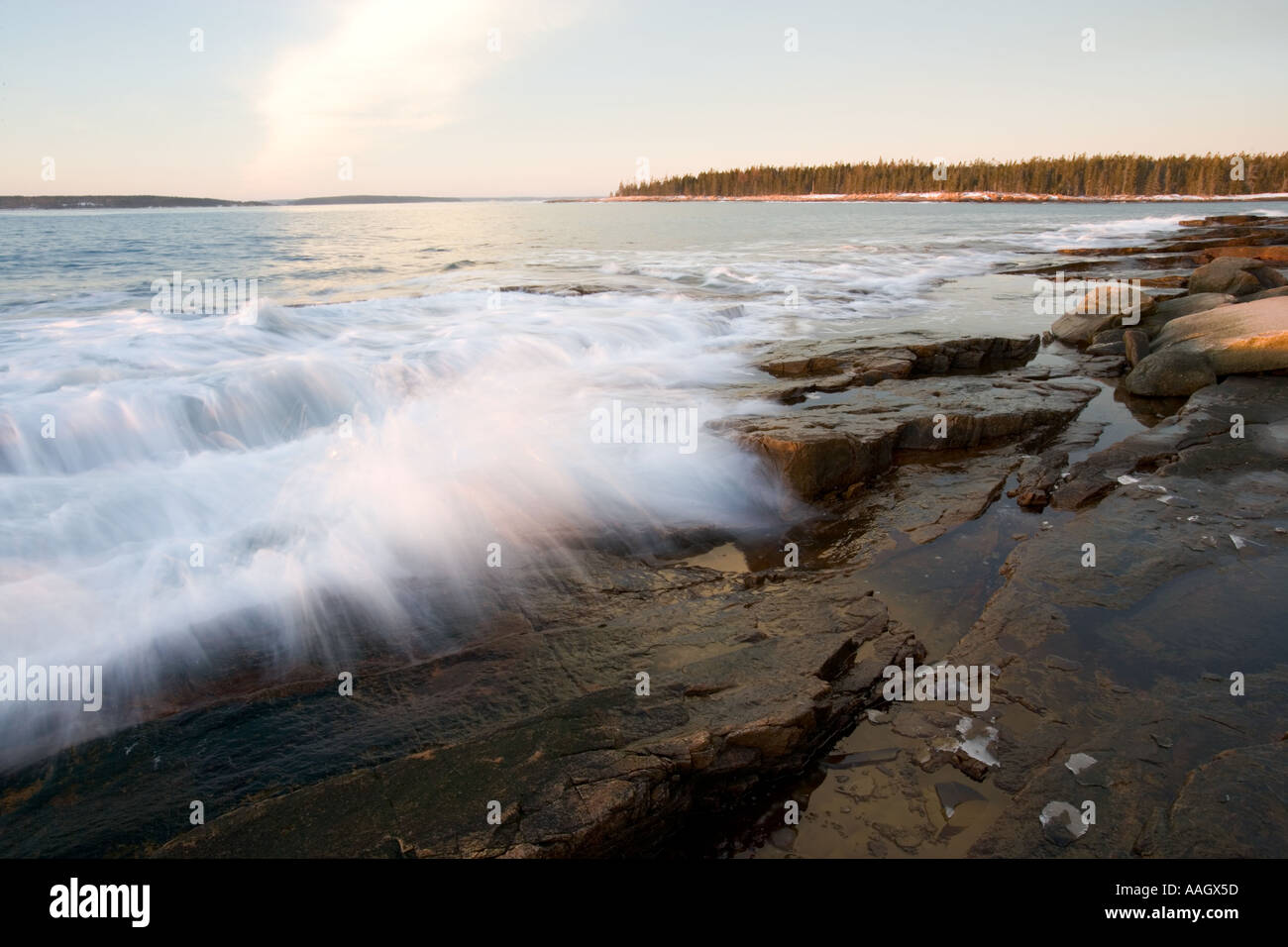 Am frühen Morgen im Wunderland in Maine s Acadia Nationalpark Stockfoto