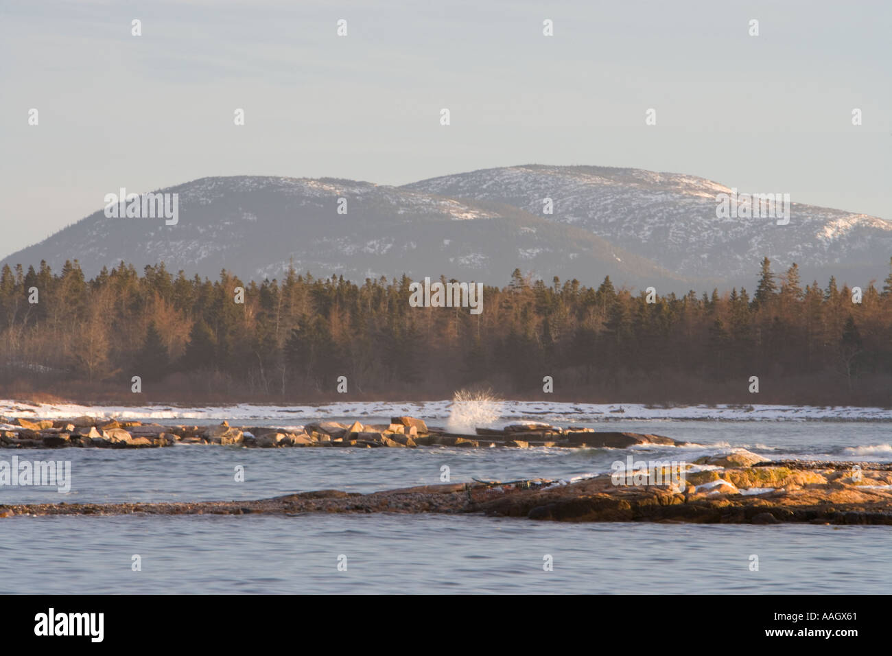 Cadillac Mountain von Wunderland in Maine s Acadia National Park gesehen Stockfoto