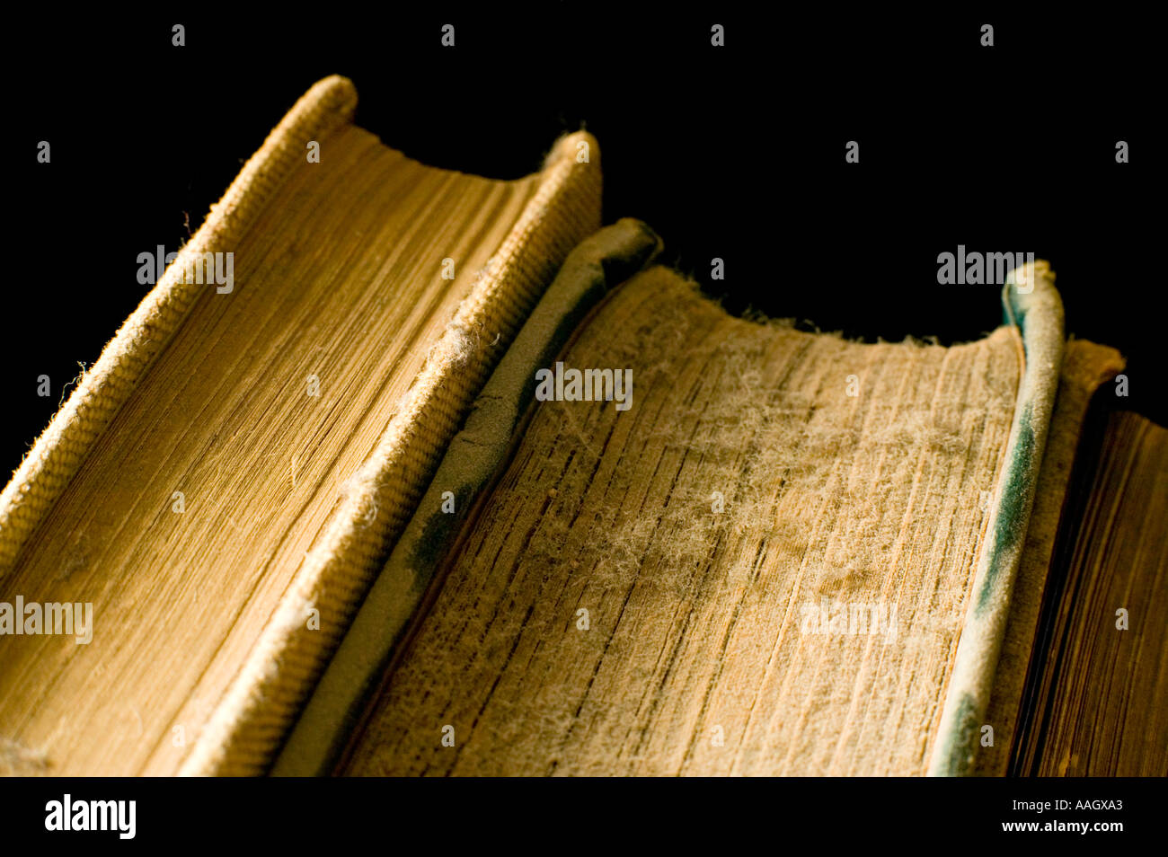 Nahaufnahme von staubigen alten hart zurück Bücher Stockfoto