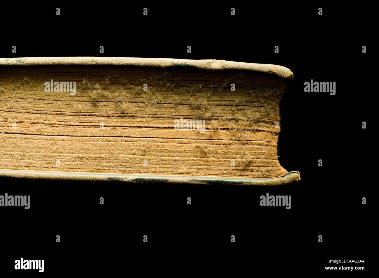Nahaufnahme von staubigen alten hart zurück Bücher Stockfoto