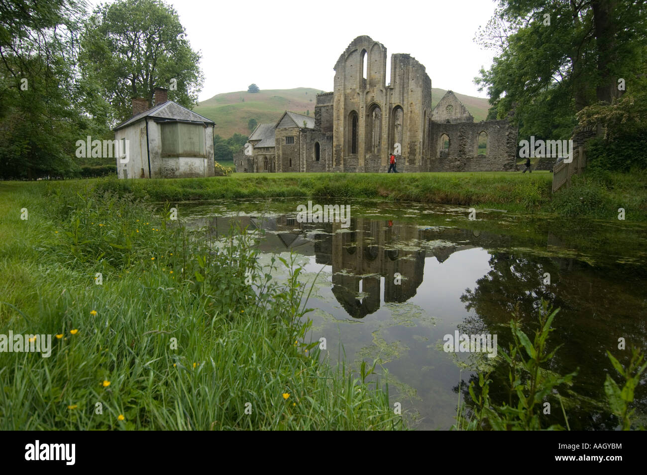 Valle Crucis Abbey in der Nähe von Llangollen North Wales - ruiniert Zisterzienser-Abtei Stockfoto