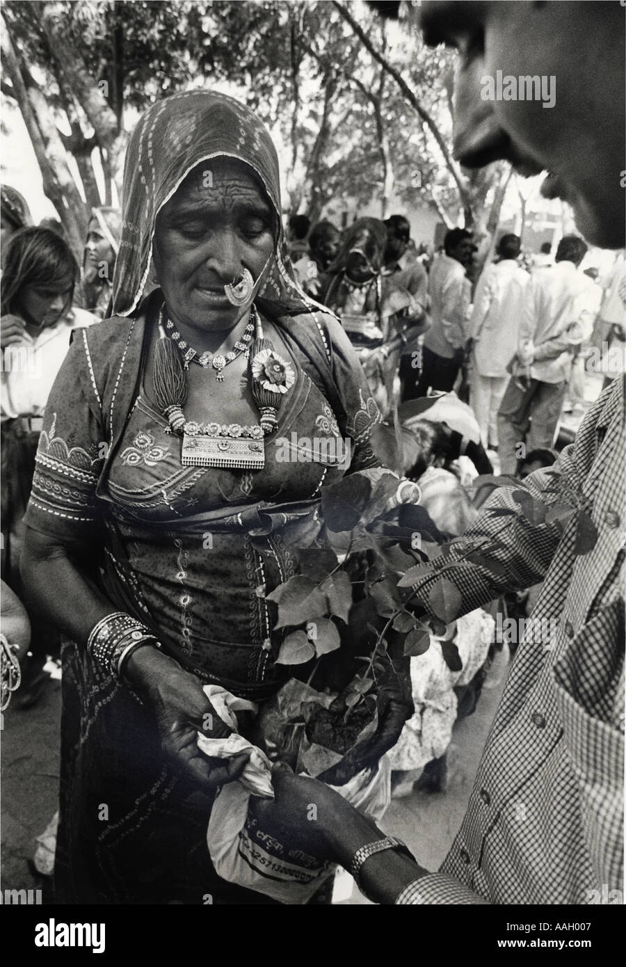 Bishnoi Indianerin Rajasthan Indien Stockfoto