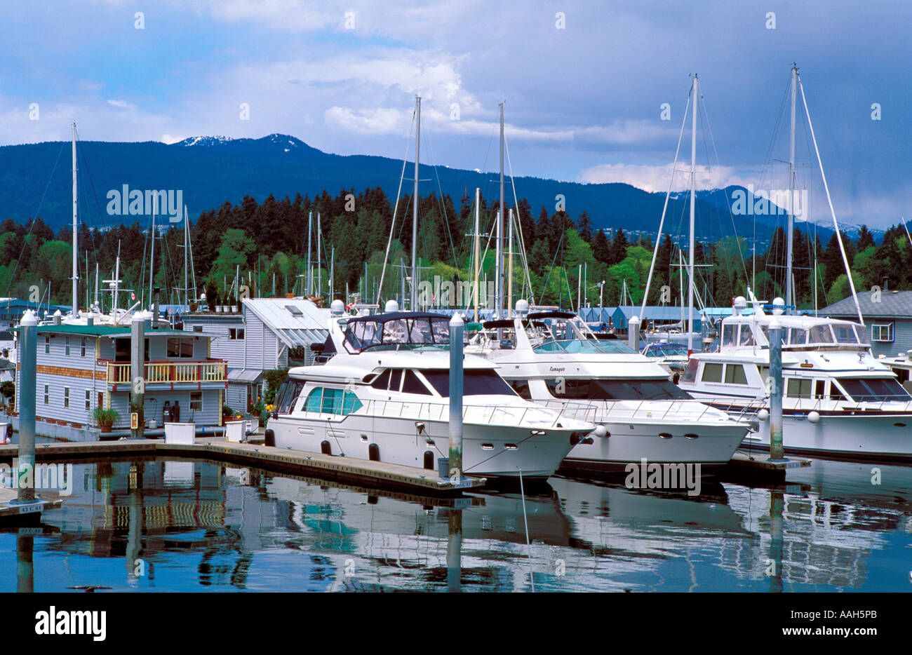 Yachten ankern im Hafen Vancouver British Columbia Kanada Stockfoto