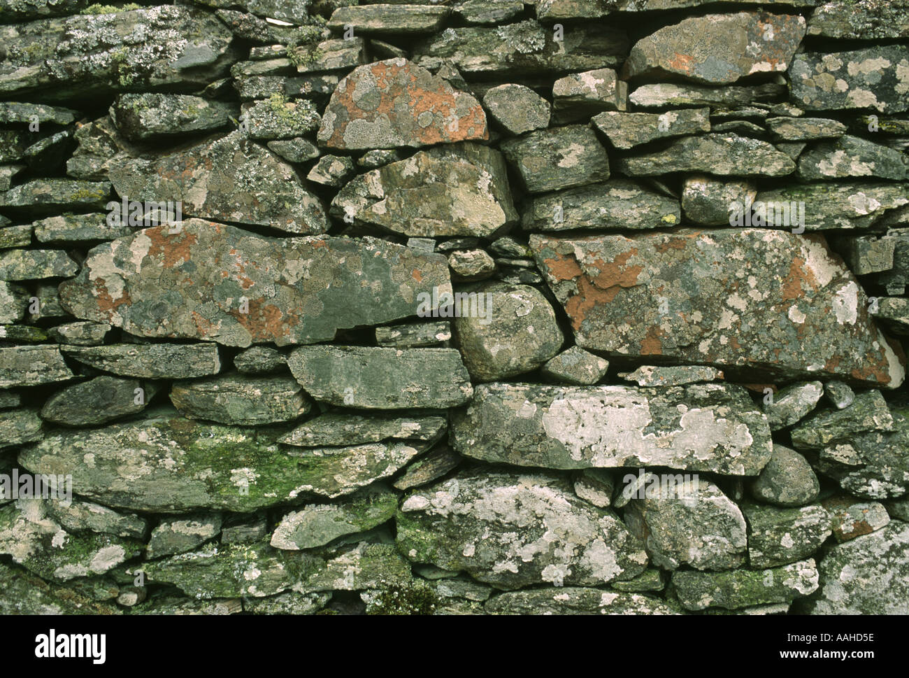 Trockenmauern Deich Schottland Stockfoto