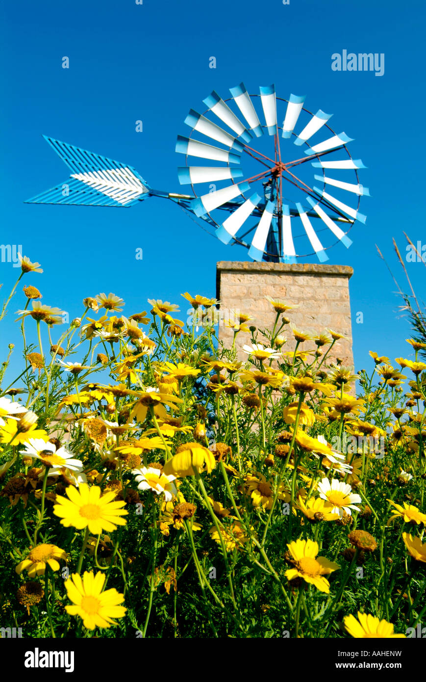 Windmill.Sant Jordi Dorf. Mallorca-Island.Spain Stockfoto