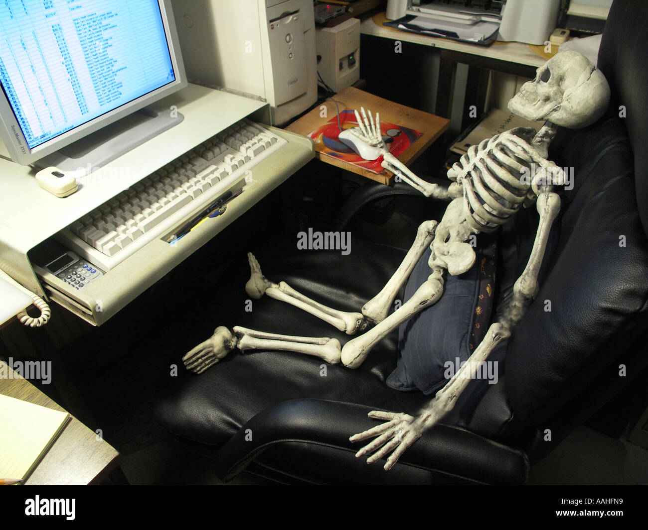 Skeleton using a computer Fotos und Bildmaterial in hoher Auflösung