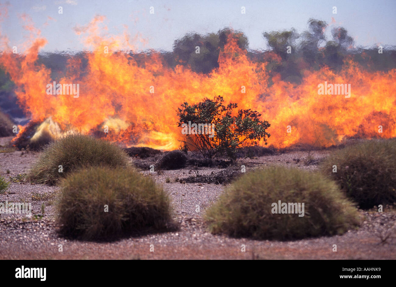 Kontrolliertes Brennen aus Millstream Chichester Nationalpark Pilbara Western Australien horizontale Stockfoto
