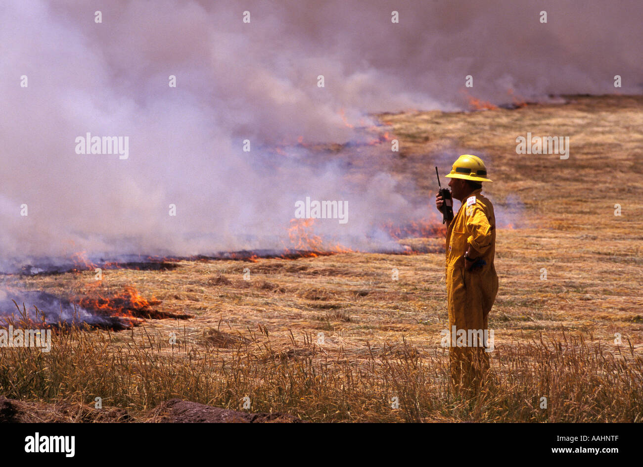 Kontrollierte Verbrennung aus von Feuer in der Nähe von Yarra Glen Victoria Australien horizontale Behörde Stockfoto