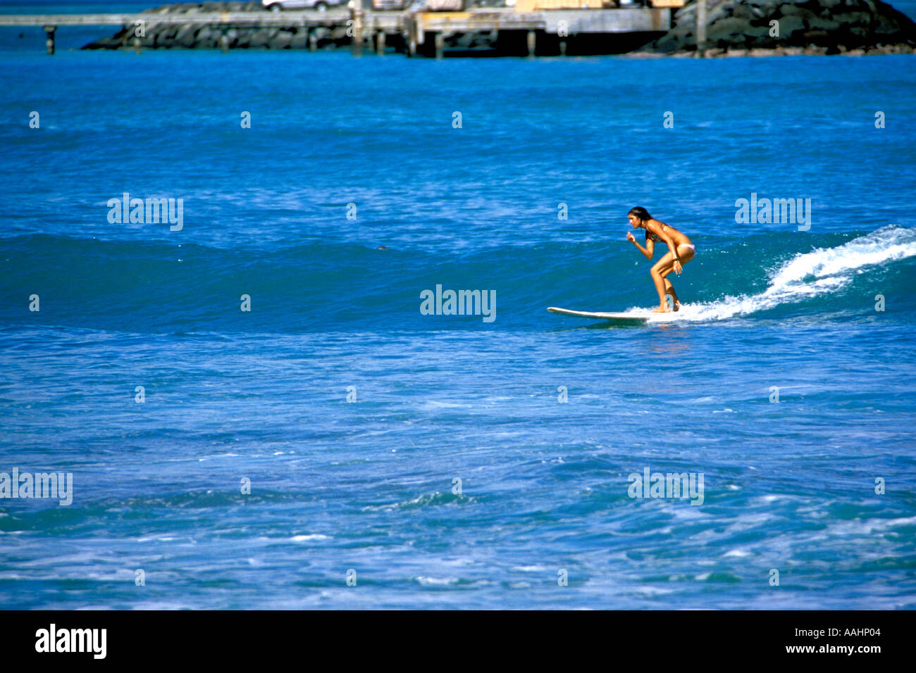 Surfer am Makapuu Beach Oahu Hawaii Stockfoto